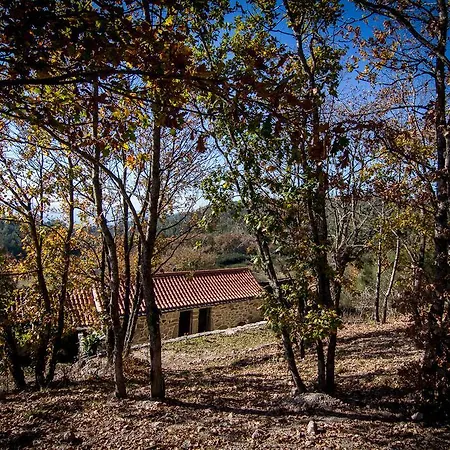 בית כפרי Casas Dos Avos *