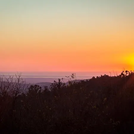Casas Dos Avos 乡村民宿 *